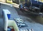 A good days fishing